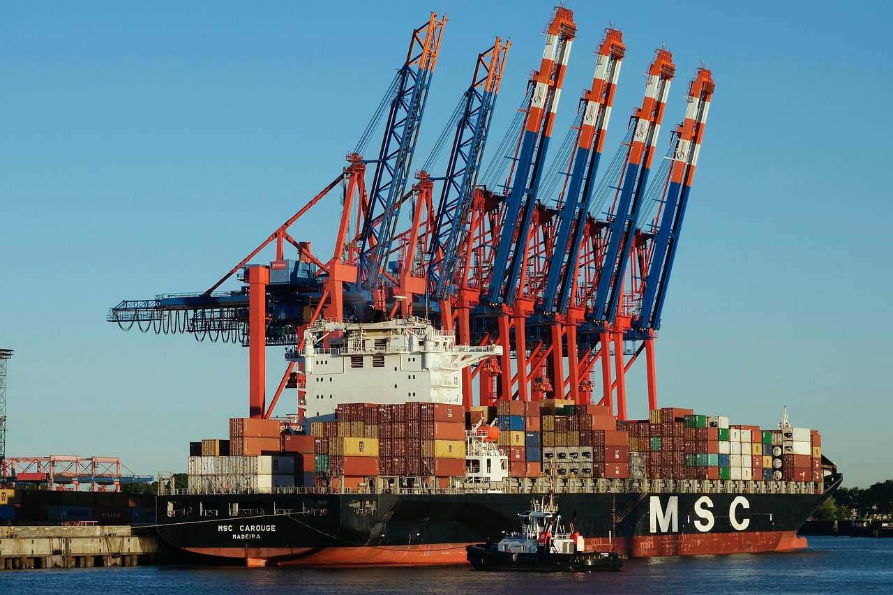 container, shipping, container ship, msc carouge, cargo ship, container handling, terminal, port, container terminal, container transshipment point, loading, hamburg, elbe, port industry, port cranes, technology, handling equipment, container, shipping, container ship, container ship, container ship, cargo ship, cargo ship, cargo ship, cargo ship, cargo ship